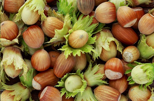 L'huile de noisette dans tous ses états !